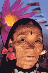 Wise Woman Within Meo Collage: Wise Woman Within